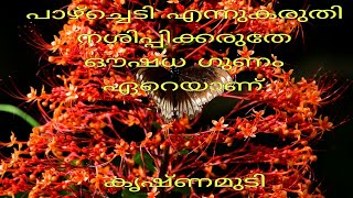 കൃഷ്ണ കിരീടം, കൃഷ്ണമുടി, ഹനുമാൻ കിരീടം, പാഗോടാ, (krishnakireedam,hanumankireedam, redpagoda)