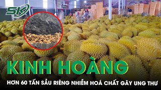 Kinh hoàng hơn 60 tấn sầu riêng nhiễm hoá chất gây ung thư được Thái Lan tiêu huỷ | SKĐS