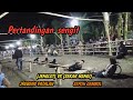 PART 3 - JENGLOT (WIN) vs SEKAR WANGI - tarik tambang - sph gembol - PROBOLINGGO #tariktambangviral