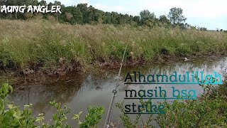 panen sambaran || hari terakhir || di spot ini || Alhamdulillah