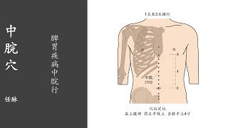 人体穴位316：中脘：脾胃疾病中脘行，用手指指尖推揉中脘穴3～5分钟，长期按摩，可改善便秘、黄疸 20220406