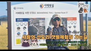 서해랑길 57코스 사랑의 선도리 길 #코리아 둘레길 #선도리갯벌체험장 #국토순례