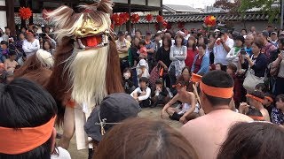 平成30年 灘のけんか祭り 宵宮 八家の獅子舞