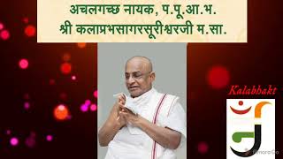 અચલગચ્છ નાયક પ.પૂ.આ.ભ.શ્રી કલાપ્રભસાગરસૂરીશ્વરજી મ.સા.