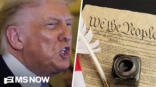 It's as if Trump is trying to 'destroy every element of the Constitution': Fmr. Bush adviser