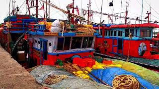 Dhamara Ku Jiba Jahaja Dekhi || 🐠 Dhamara Fishing Harbour 🐟 || 🚣 Fisherman Life 🚣 || Fish Catching