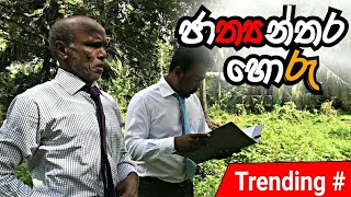 ජාත්‍යන්තර හොරු /  pol karu