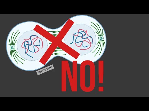 Do skin cells stop dividing?