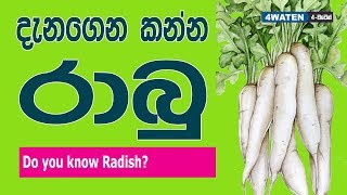 රාබු කෑවොත් වෙන දේ මෙන්න : Benefits of Radish (in 2018)