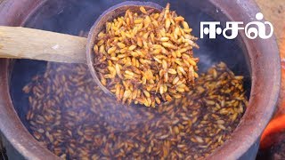 Eesal | Cooking Eating Winged TERMITES | Healthy village food | Village Cooking Channel