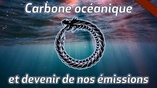 Cycle du carbone océanique et devenir de nos émissions (ft. Sous Nos Pieds)