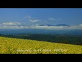 滋野甲の菜の花畑と流れる雲と八ケ岳遠望　長野県小諸市　fukei 75967