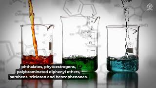 Exposure to endocrine disrupting chemicals: Changes from 2002 to 2024