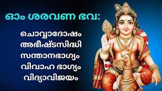 മുരുകന് ഒറ്റ നാരങ്ങ,കുമാരസൂക്തപുഷ്പാഞ്‌ജലി, ഷഷ്ഠിവ്രതം, കാവടിയെടുക്കൽ.astrology