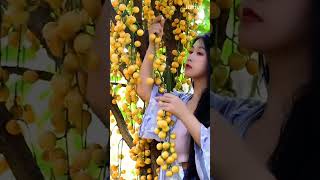 এই ফলের নাম কি New Chinese funny Video২২#short #reelsfyp #video #walkofftheearth#indianhacker