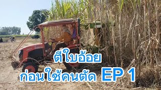 ตีใบอ้อยก่อนใช้คนตัด EP 1