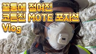 [호주워홀] 쉬는 시간을 내 마음대로 정하는 코튼진  모트 포지션 vlog