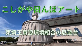 展望台が素敵！ こしがや田んぼアート2024