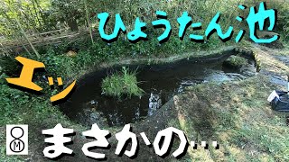 ひょうたん池の大掃除から１カ月後、エッ、まさかの展開に…