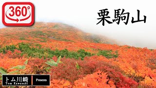 【登山】10月の栗駒山｜初心者向け｜Insta360 ONE R｜Mt. Kurikoma｜Climbing Movie｜Mountain