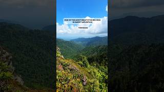 📍Charlie’s bunion, Smoky Mountain, TN #hiking #smokymountains #visittn