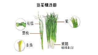 20250226 解大盤、有人敲碗：【碩禾、寬宏藝術、大銀微系統(聯鈞)、昇陽半導體、沛亨、鼎基】。