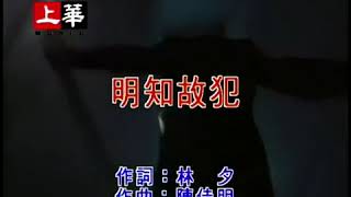 許美靜 明知故犯 伴奏 KTV 純音樂