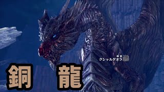 【MHW】～モンハンライズ発売までに終わらせるぞ（PART55）