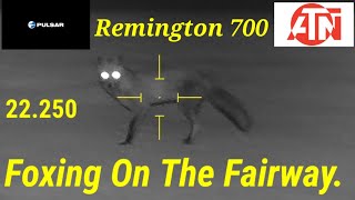 Foxing On The Fairway Remington 700 22.250.