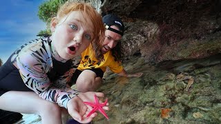 ADLEY Found a STAR FiSH 🦀 Mom grabs a CRAB!!  Exploring Tide Pools for Sea Creatures and Shells!