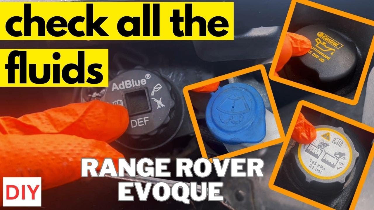 DIY Range Rover Evoque All Fluid & Adblue Check | Step-by-Step Guide ...