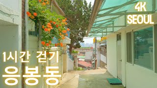 1시간 걷기 · 응봉동 · 동네한바퀴 · 1 hour walk · Eungbong-dong · Seoul · 4K