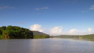 Why Panama Holds a Major Key to Our Biodiversity