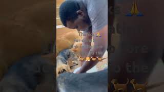 #donatetopets, #petcharity, #animalrescue, #petsinneed, #helphomelesspets, #supportanimalshelters,