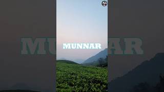 MUNNAR-Things to do in  Munnar✨ -  மூணார் சுற்றுலா #kerala  #munnar #vibebrothers