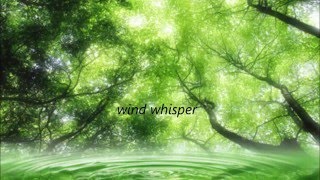 【Wind whisper】（original）ピアノインスト～relax piano music