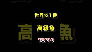 世界で1番高い魚TOP10 #世界一 #高級魚 #熱帯魚 #ランキング動画