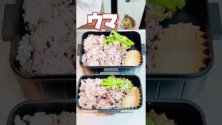 ご飯に味染みぶりの照り焼き弁当🐟 #shorts #お弁当動画 #作り置き弁当 #お弁当おかず #お弁当詰め方