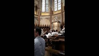 Alleluia  Lode Cosmica Assisi 2018