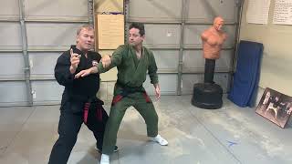 KENPO Glancing Salute (extension) - Jamie Seabrook