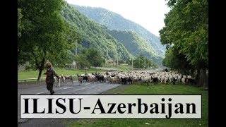 Azerbaijan/Ilisu (Shepherds,sheep and dogs)  Part 30