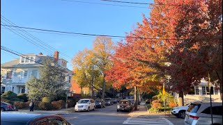 [4K HDR] Autumn 2021 Walking Woodhaven Queens New York