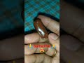 yummy candyman eclair candy 💯🤤👌😋 shorts