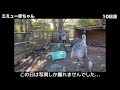 【動物の赤ちゃん】はじめてのダッシュがかわいくて癒されるエミュー兄妹！