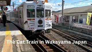 Easy English with Darcy: Cat Train Wakayama Japan