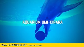 【Vlog】「九十九島水族館海きらら」イルカとクラゲとウミガメなどをじっくり鑑賞。長崎県佐世保市にて。