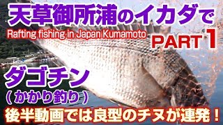 天草御所浦の筏にチヌ(黒鯛)の年無しクラスが沸いてた！真夏のチヌ・黒鯛ダゴチン(かかり釣り)Part.1 ｜ Midsummer raft fishing in Japan Kumamoto.1