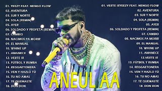 ANUEL AA 2023 Mejores Éxitos - Mejores canciones de FEID 2023 - Mix Reggaeton 2023 Lo Mas Nuevo 2023