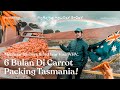 Tips mengejar 2nd year dan 3rd year Visa (WHV) di sektor farm + Info kerja farm di Tasmania.