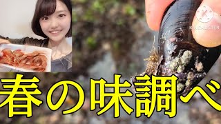 [女ひとり暮らし]独女、松下海岸で春の味調べ🌸🐚🎵#399#いわき#いわき市 #小名浜 #一人暮らし #独身 #女子 #おうちごはん #自炊 #料理 #グルメ#港 #船 #釣り#春#松下海岸ま#味調べ